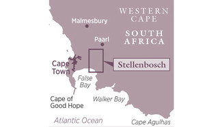 Stellenbosch on the map