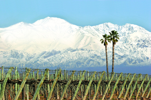 WSET Level 2: Argentina, Chile, South Africa and Australia – wine label terms showing quality 