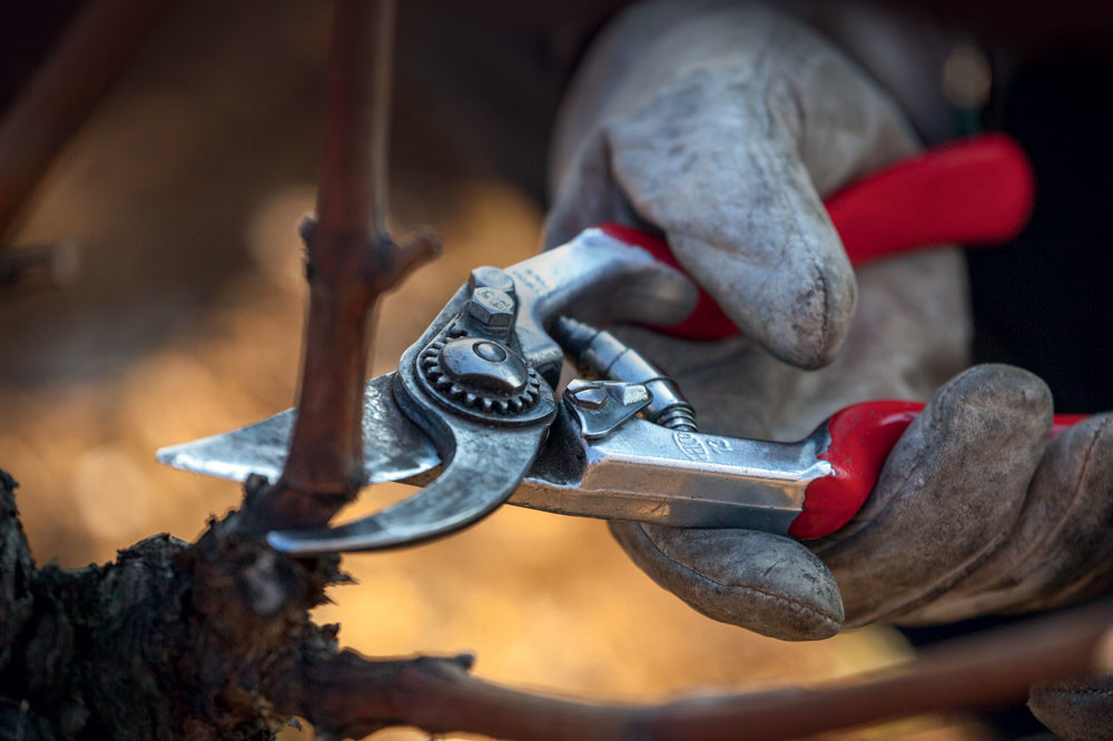 Pruning: Why getting it right matters